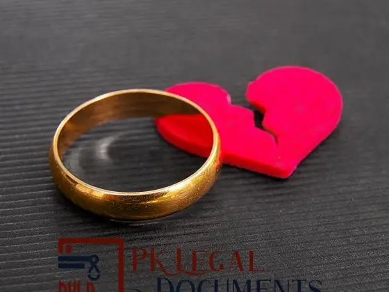 Download a Sample of Khulla Petition/Plaint Template